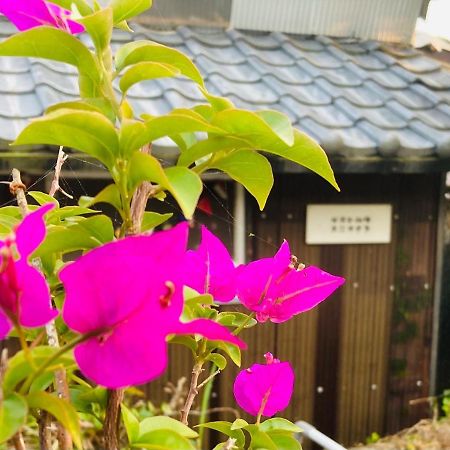 Guesthouse Nichinan - Vacation Stay 82905V Eksteriør bilde